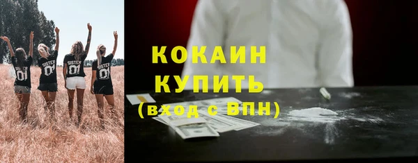 мяу мяу мука Бородино