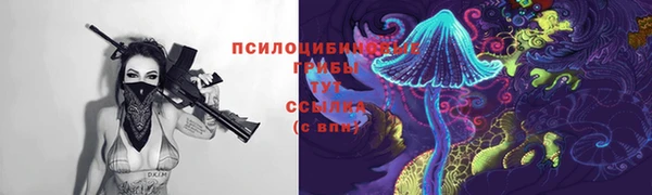мяу мяу мука Бородино