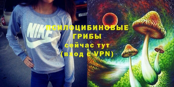 мяу мяу мука Бородино